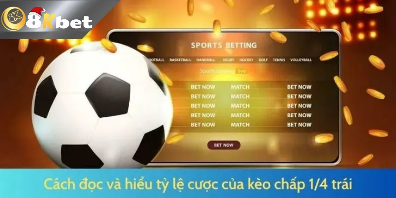 Cách Đọc Kèo Bóng Đá Siêu Chuẩn Cho Game Thủ Cách đọc kèo chấp 1/4 chuẩn