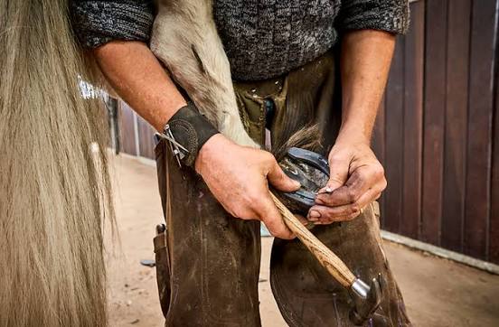 Science of Modern Farriery & Hoof Care